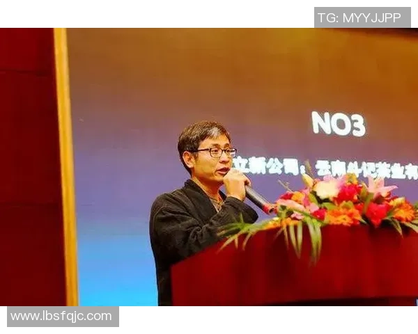 深圳排球队中路突破革新引领战术变革与未来发展新趋势